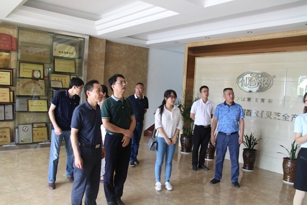 杭州亞運(yùn)會(huì)官方靈芝產(chǎn)品供應(yīng)商|杭州亞運(yùn)會(huì)官方供應(yīng)商|中國靈芝十大品牌|仙客來靈芝|仙客來靈芝破壁孢子粉|仙客來孢子油|仙客來靈芝飲片|仙客來破壁孢子粉|靈芝孢子油|孢子粉|靈芝破壁孢子粉|靈芝|中華老字號(hào)