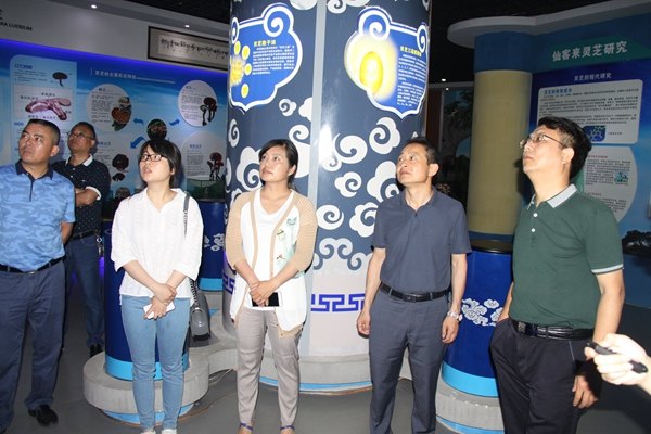 杭州亞運(yùn)會(huì)官方靈芝產(chǎn)品供應(yīng)商|杭州亞運(yùn)會(huì)官方供應(yīng)商|中國靈芝十大品牌|仙客來靈芝|仙客來靈芝破壁孢子粉|仙客來孢子油|仙客來靈芝飲片|仙客來破壁孢子粉|靈芝孢子油|孢子粉|靈芝破壁孢子粉|靈芝|中華老字號(hào)