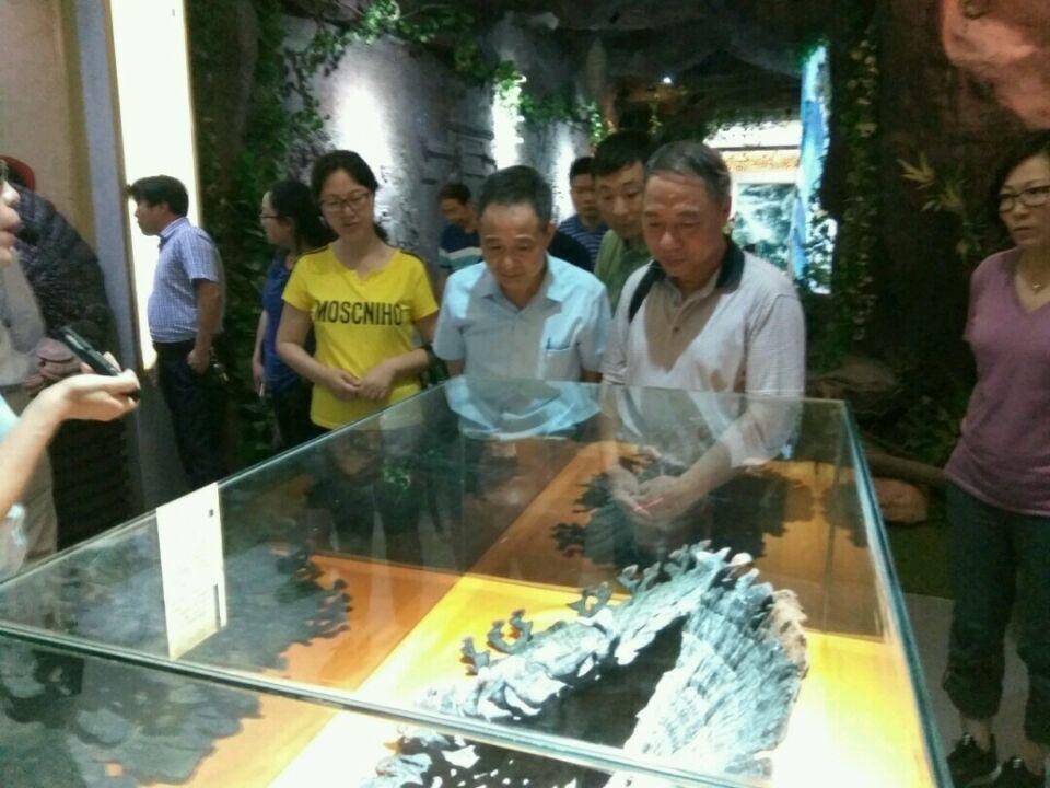 杭州亞運(yùn)會(huì)官方靈芝產(chǎn)品供應(yīng)商|杭州亞運(yùn)會(huì)官方供應(yīng)商|中國(guó)靈芝十大品牌|仙客來靈芝|仙客來靈芝破壁孢子粉|仙客來孢子油|仙客來靈芝飲片|仙客來破壁孢子粉|靈芝孢子油|孢子粉|靈芝破壁孢子粉|靈芝|中華老字號(hào)