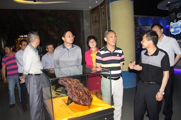 杭州亞運會官方靈芝產(chǎn)品供應商|杭州亞運會官方供應商|中國靈芝十大品牌|仙客來靈芝|仙客來靈芝破壁孢子粉|仙客來孢子油|仙客來靈芝飲片|仙客來破壁孢子粉|靈芝孢子油|孢子粉|靈芝破壁孢子粉|靈芝|中華老字號 杭州亞運會官方靈芝產(chǎn)品供應商|杭州亞運會官方供應商|中國靈芝十大品牌|仙客來靈芝|仙客來靈芝破壁孢子粉|仙客來孢子油|仙客來靈芝飲片|仙客來破壁孢子粉|靈芝孢子油|孢子粉|靈芝破壁孢子粉|靈芝|中華老字號