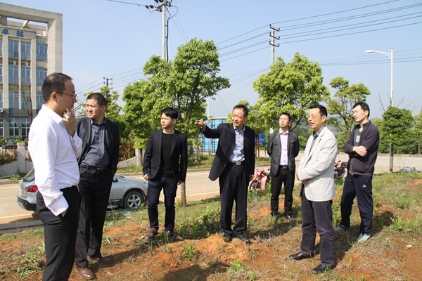 杭州亞運會官方靈芝產(chǎn)品供應商|杭州亞運會官方供應商|中國靈芝十大品牌|仙客來靈芝|仙客來靈芝破壁孢子粉|仙客來孢子油|仙客來靈芝飲片|仙客來破壁孢子粉|靈芝孢子油|孢子粉|靈芝破壁孢子粉|靈芝|中華老字號