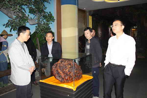 杭州亞運會官方靈芝產(chǎn)品供應商|杭州亞運會官方供應商|中國靈芝十大品牌|仙客來靈芝|仙客來靈芝破壁孢子粉|仙客來孢子油|仙客來靈芝飲片|仙客來破壁孢子粉|靈芝孢子油|孢子粉|靈芝破壁孢子粉|靈芝|中華老字號