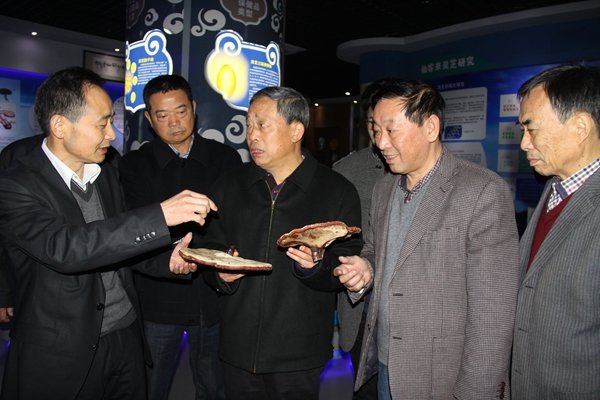 杭州亞運(yùn)會(huì)官方靈芝產(chǎn)品供應(yīng)商|杭州亞運(yùn)會(huì)官方供應(yīng)商|中國(guó)靈芝十大品牌|仙客來靈芝|仙客來靈芝破壁孢子粉|仙客來孢子油|仙客來靈芝飲片|仙客來破壁孢子粉|靈芝孢子油|孢子粉|靈芝破壁孢子粉|靈芝|中華老字號(hào)