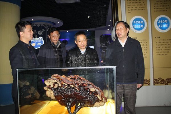 杭州亞運(yùn)會(huì)官方靈芝產(chǎn)品供應(yīng)商|杭州亞運(yùn)會(huì)官方供應(yīng)商|中國(guó)靈芝十大品牌|仙客來靈芝|仙客來靈芝破壁孢子粉|仙客來孢子油|仙客來靈芝飲片|仙客來破壁孢子粉|靈芝孢子油|孢子粉|靈芝破壁孢子粉|靈芝|中華老字號(hào)