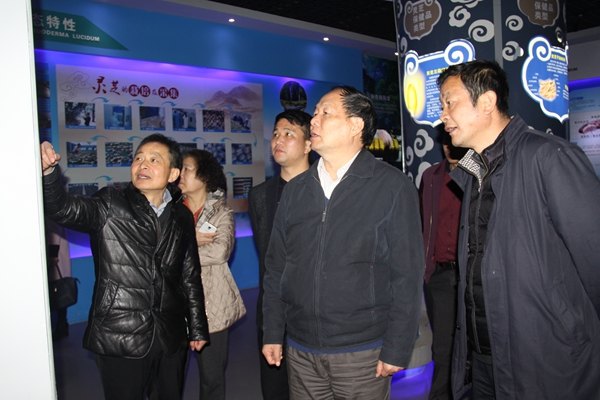 杭州亞運(yùn)會(huì)官方靈芝產(chǎn)品供應(yīng)商|杭州亞運(yùn)會(huì)官方供應(yīng)商|中國(guó)靈芝十大品牌|仙客來靈芝|仙客來靈芝破壁孢子粉|仙客來孢子油|仙客來靈芝飲片|仙客來破壁孢子粉|靈芝孢子油|孢子粉|靈芝破壁孢子粉|靈芝|中華老字號(hào)