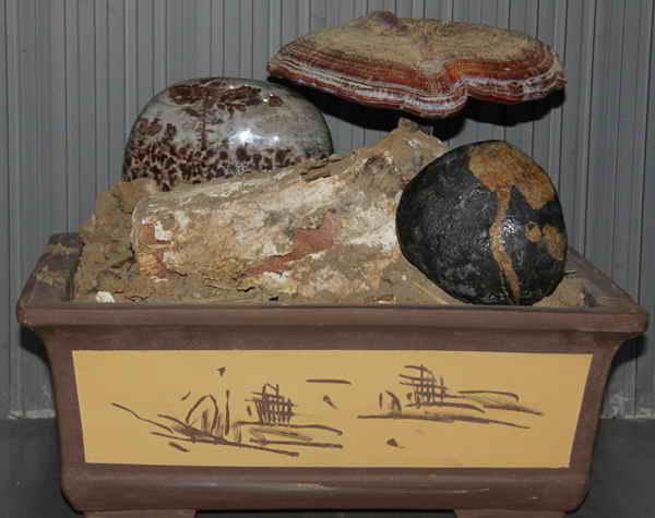 杭州亞運會官方靈芝產(chǎn)品供應商|杭州亞運會官方供應商|中國靈芝十大品牌|仙客來靈芝|仙客來靈芝破壁孢子粉|仙客來孢子油|仙客來靈芝飲片|仙客來破壁孢子粉|靈芝孢子油|孢子粉|靈芝破壁孢子粉|靈芝|中華老字號 杭州亞運會官方靈芝產(chǎn)品供應商|杭州亞運會官方供應商|中國靈芝十大品牌|仙客來靈芝|仙客來靈芝破壁孢子粉|仙客來孢子油|仙客來靈芝飲片|仙客來破壁孢子粉|靈芝孢子油|孢子粉|靈芝破壁孢子粉|靈芝|中華老字號