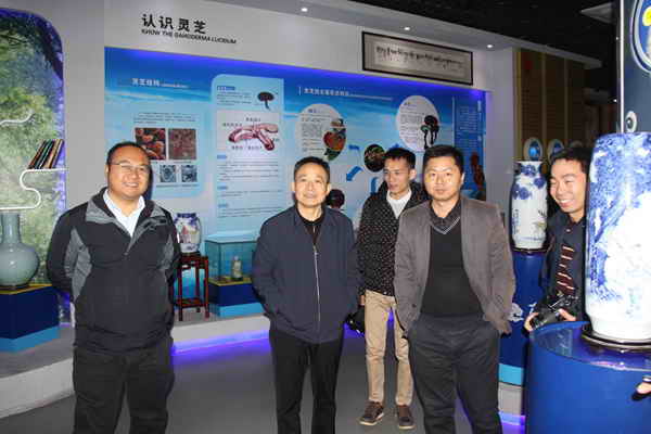 杭州亞運會官方靈芝產(chǎn)品供應(yīng)商|杭州亞運會官方供應(yīng)商|中國靈芝十大品牌|仙客來靈芝|仙客來靈芝破壁孢子粉|仙客來孢子油|仙客來靈芝飲片|仙客來破壁孢子粉|靈芝孢子油|孢子粉|靈芝破壁孢子粉|靈芝|中華老字號 杭州亞運會官方靈芝產(chǎn)品供應(yīng)商|杭州亞運會官方供應(yīng)商|中國靈芝十大品牌|仙客來靈芝|仙客來靈芝破壁孢子粉|仙客來孢子油|仙客來靈芝飲片|仙客來破壁孢子粉|靈芝孢子油|孢子粉|靈芝破壁孢子粉|靈芝|中華老字號