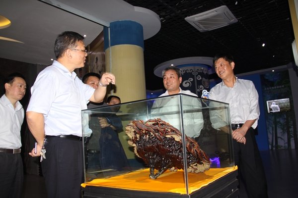 杭州亞運會官方靈芝產品供應商|杭州亞運會官方供應商|中國靈芝十大品牌|仙客來靈芝|仙客來靈芝破壁孢子粉|仙客來孢子油|仙客來靈芝飲片|仙客來破壁孢子粉|靈芝孢子油|孢子粉|靈芝破壁孢子粉|靈芝|中華老字號