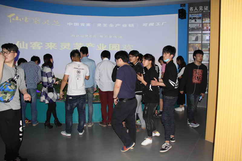 杭州亞運會官方靈芝產(chǎn)品供應商|杭州亞運會官方供應商|中國靈芝十大品牌|仙客來靈芝|仙客來靈芝破壁孢子粉|仙客來孢子油|仙客來靈芝飲片|仙客來破壁孢子粉|靈芝孢子油|孢子粉|靈芝破壁孢子粉|靈芝|中華老字號