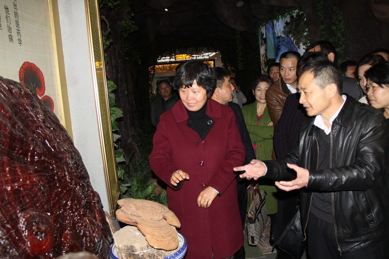 杭州亞運(yùn)會(huì)官方靈芝產(chǎn)品供應(yīng)商|杭州亞運(yùn)會(huì)官方供應(yīng)商|中國靈芝十大品牌|仙客來靈芝|仙客來靈芝破壁孢子粉|仙客來孢子油|仙客來靈芝飲片|仙客來破壁孢子粉|靈芝孢子油|孢子粉|靈芝破壁孢子粉|靈芝|中華老字號(hào)