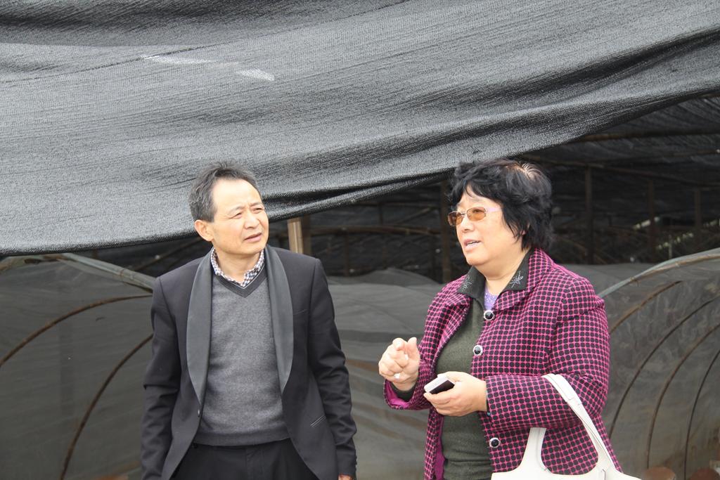 杭州亞運會官方靈芝產(chǎn)品供應商|杭州亞運會官方供應商|中國靈芝十大品牌|仙客來靈芝|仙客來靈芝破壁孢子粉|仙客來孢子油|仙客來靈芝飲片|仙客來破壁孢子粉|靈芝孢子油|孢子粉|靈芝破壁孢子粉|靈芝|中華老字號