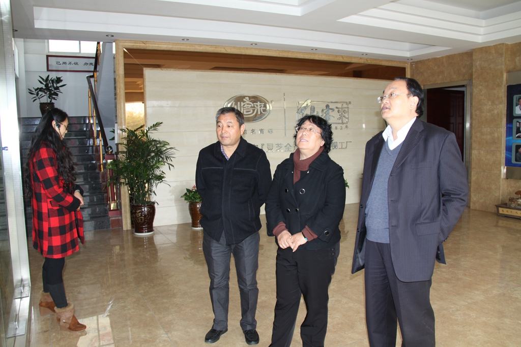 杭州亞運會官方靈芝產(chǎn)品供應商|杭州亞運會官方供應商|中國靈芝十大品牌|仙客來靈芝|仙客來靈芝破壁孢子粉|仙客來孢子油|仙客來靈芝飲片|仙客來破壁孢子粉|靈芝孢子油|孢子粉|靈芝破壁孢子粉|靈芝|中華老字號