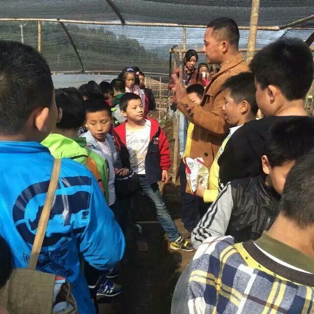 杭州亞運(yùn)會(huì)官方靈芝產(chǎn)品供應(yīng)商|杭州亞運(yùn)會(huì)官方供應(yīng)商|中國(guó)靈芝十大品牌|仙客來(lái)靈芝|仙客來(lái)靈芝破壁孢子粉|仙客來(lái)孢子油|仙客來(lái)靈芝飲片|仙客來(lái)破壁孢子粉|靈芝孢子油|孢子粉|靈芝破壁孢子粉|靈芝|中華老字號(hào)