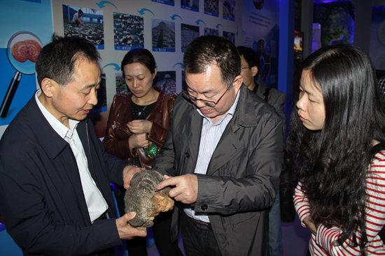 杭州亞運(yùn)會(huì)官方靈芝產(chǎn)品供應(yīng)商|杭州亞運(yùn)會(huì)官方供應(yīng)商|中國(guó)靈芝十大品牌|仙客來靈芝|仙客來靈芝破壁孢子粉|仙客來孢子油|仙客來靈芝飲片|仙客來破壁孢子粉|靈芝孢子油|孢子粉|靈芝破壁孢子粉|靈芝|中華老字號(hào) 杭州亞運(yùn)會(huì)官方靈芝產(chǎn)品供應(yīng)商|杭州亞運(yùn)會(huì)官方供應(yīng)商|中國(guó)靈芝十大品牌|仙客來靈芝|仙客來靈芝破壁孢子粉|仙客來孢子油|仙客來靈芝飲片|仙客來破壁孢子粉|靈芝孢子油|孢子粉|靈芝破壁孢子粉|靈芝|中華老字號(hào)