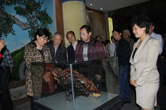 杭州亞運(yùn)會(huì)官方靈芝產(chǎn)品供應(yīng)商|杭州亞運(yùn)會(huì)官方供應(yīng)商|中國靈芝十大品牌|仙客來靈芝|仙客來靈芝破壁孢子粉|仙客來孢子油|仙客來靈芝飲片|仙客來破壁孢子粉|靈芝孢子油|孢子粉|靈芝破壁孢子粉|靈芝|中華老字號(hào) 杭州亞運(yùn)會(huì)官方靈芝產(chǎn)品供應(yīng)商|杭州亞運(yùn)會(huì)官方供應(yīng)商|中國靈芝十大品牌|仙客來靈芝|仙客來靈芝破壁孢子粉|仙客來孢子油|仙客來靈芝飲片|仙客來破壁孢子粉|靈芝孢子油|孢子粉|靈芝破壁孢子粉|靈芝|中華老字號(hào)