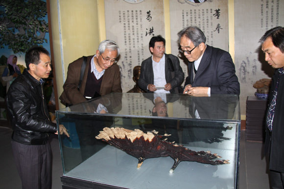 杭州亞運(yùn)會(huì)官方靈芝產(chǎn)品供應(yīng)商|杭州亞運(yùn)會(huì)官方供應(yīng)商|中國靈芝十大品牌|仙客來靈芝|仙客來靈芝破壁孢子粉|仙客來孢子油|仙客來靈芝飲片|仙客來破壁孢子粉|靈芝孢子油|孢子粉|靈芝破壁孢子粉|靈芝|中華老字號(hào) 杭州亞運(yùn)會(huì)官方靈芝產(chǎn)品供應(yīng)商|杭州亞運(yùn)會(huì)官方供應(yīng)商|中國靈芝十大品牌|仙客來靈芝|仙客來靈芝破壁孢子粉|仙客來孢子油|仙客來靈芝飲片|仙客來破壁孢子粉|靈芝孢子油|孢子粉|靈芝破壁孢子粉|靈芝|中華老字號(hào)