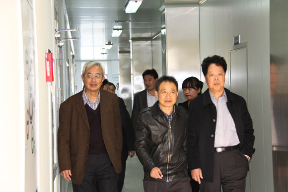 杭州亞運(yùn)會(huì)官方靈芝產(chǎn)品供應(yīng)商|杭州亞運(yùn)會(huì)官方供應(yīng)商|中國靈芝十大品牌|仙客來靈芝|仙客來靈芝破壁孢子粉|仙客來孢子油|仙客來靈芝飲片|仙客來破壁孢子粉|靈芝孢子油|孢子粉|靈芝破壁孢子粉|靈芝|中華老字號(hào) 杭州亞運(yùn)會(huì)官方靈芝產(chǎn)品供應(yīng)商|杭州亞運(yùn)會(huì)官方供應(yīng)商|中國靈芝十大品牌|仙客來靈芝|仙客來靈芝破壁孢子粉|仙客來孢子油|仙客來靈芝飲片|仙客來破壁孢子粉|靈芝孢子油|孢子粉|靈芝破壁孢子粉|靈芝|中華老字號(hào)