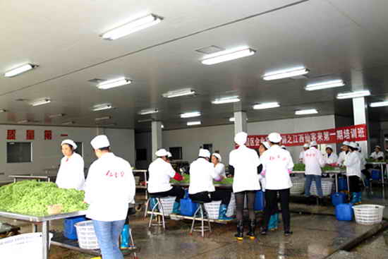 杭州亞運會官方靈芝產品供應商|杭州亞運會官方供應商|中國靈芝十大品牌|仙客來靈芝|仙客來靈芝破壁孢子粉|仙客來孢子油|仙客來靈芝飲片|仙客來破壁孢子粉|靈芝孢子油|孢子粉|靈芝破壁孢子粉|靈芝|中華老字號 杭州亞運會官方靈芝產品供應商|杭州亞運會官方供應商|中國靈芝十大品牌|仙客來靈芝|仙客來靈芝破壁孢子粉|仙客來孢子油|仙客來靈芝飲片|仙客來破壁孢子粉|靈芝孢子油|孢子粉|靈芝破壁孢子粉|靈芝|中華老字號