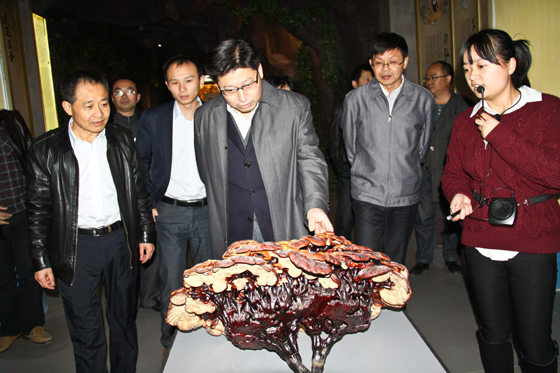 杭州亞運(yùn)會(huì)官方靈芝產(chǎn)品供應(yīng)商|杭州亞運(yùn)會(huì)官方供應(yīng)商|中國(guó)靈芝十大品牌|仙客來(lái)靈芝|仙客來(lái)靈芝破壁孢子粉|仙客來(lái)孢子油|仙客來(lái)靈芝飲片|仙客來(lái)破壁孢子粉|靈芝孢子油|孢子粉|靈芝破壁孢子粉|靈芝|中華老字號(hào) 杭州亞運(yùn)會(huì)官方靈芝產(chǎn)品供應(yīng)商|杭州亞運(yùn)會(huì)官方供應(yīng)商|中國(guó)靈芝十大品牌|仙客來(lái)靈芝|仙客來(lái)靈芝破壁孢子粉|仙客來(lái)孢子油|仙客來(lái)靈芝飲片|仙客來(lái)破壁孢子粉|靈芝孢子油|孢子粉|靈芝破壁孢子粉|靈芝|中華老字號(hào)