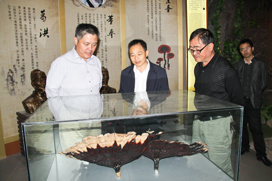 杭州亞運會官方靈芝產(chǎn)品供應(yīng)商|杭州亞運會官方供應(yīng)商|中國靈芝十大品牌|仙客來靈芝|仙客來靈芝破壁孢子粉|仙客來孢子油|仙客來靈芝飲片|仙客來破壁孢子粉|靈芝孢子油|孢子粉|靈芝破壁孢子粉|靈芝|中華老字號 杭州亞運會官方靈芝產(chǎn)品供應(yīng)商|杭州亞運會官方供應(yīng)商|中國靈芝十大品牌|仙客來靈芝|仙客來靈芝破壁孢子粉|仙客來孢子油|仙客來靈芝飲片|仙客來破壁孢子粉|靈芝孢子油|孢子粉|靈芝破壁孢子粉|靈芝|中華老字號