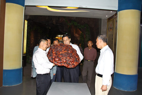 杭州亞運會官方靈芝產(chǎn)品供應(yīng)商|杭州亞運會官方供應(yīng)商|中國靈芝十大品牌|仙客來靈芝|仙客來靈芝破壁孢子粉|仙客來孢子油|仙客來靈芝飲片|仙客來破壁孢子粉|靈芝孢子油|孢子粉|靈芝破壁孢子粉|靈芝|中華老字號 杭州亞運會官方靈芝產(chǎn)品供應(yīng)商|杭州亞運會官方供應(yīng)商|中國靈芝十大品牌|仙客來靈芝|仙客來靈芝破壁孢子粉|仙客來孢子油|仙客來靈芝飲片|仙客來破壁孢子粉|靈芝孢子油|孢子粉|靈芝破壁孢子粉|靈芝|中華老字號