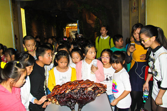 杭州亞運會官方靈芝產(chǎn)品供應(yīng)商|杭州亞運會官方供應(yīng)商|中國靈芝十大品牌|仙客來靈芝|仙客來靈芝破壁孢子粉|仙客來孢子油|仙客來靈芝飲片|仙客來破壁孢子粉|靈芝孢子油|孢子粉|靈芝破壁孢子粉|靈芝|中華老字號 杭州亞運會官方靈芝產(chǎn)品供應(yīng)商|杭州亞運會官方供應(yīng)商|中國靈芝十大品牌|仙客來靈芝|仙客來靈芝破壁孢子粉|仙客來孢子油|仙客來靈芝飲片|仙客來破壁孢子粉|靈芝孢子油|孢子粉|靈芝破壁孢子粉|靈芝|中華老字號