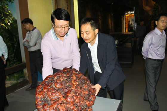 杭州亞運(yùn)會(huì)官方靈芝產(chǎn)品供應(yīng)商|杭州亞運(yùn)會(huì)官方供應(yīng)商|中國靈芝十大品牌|仙客來靈芝|仙客來靈芝破壁孢子粉|仙客來孢子油|仙客來靈芝飲片|仙客來破壁孢子粉|靈芝孢子油|孢子粉|靈芝破壁孢子粉|靈芝|中華老字號 杭州亞運(yùn)會(huì)官方靈芝產(chǎn)品供應(yīng)商|杭州亞運(yùn)會(huì)官方供應(yīng)商|中國靈芝十大品牌|仙客來靈芝|仙客來靈芝破壁孢子粉|仙客來孢子油|仙客來靈芝飲片|仙客來破壁孢子粉|靈芝孢子油|孢子粉|靈芝破壁孢子粉|靈芝|中華老字號