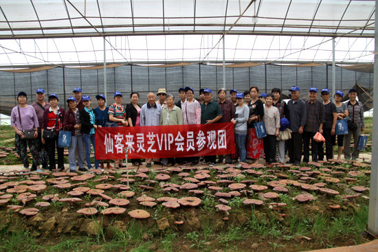 杭州亞運會官方靈芝產(chǎn)品供應(yīng)商|杭州亞運會官方供應(yīng)商|中國靈芝十大品牌|仙客來靈芝|仙客來靈芝破壁孢子粉|仙客來孢子油|仙客來靈芝飲片|仙客來破壁孢子粉|靈芝孢子油|孢子粉|靈芝破壁孢子粉|靈芝|中華老字號 杭州亞運會官方靈芝產(chǎn)品供應(yīng)商|杭州亞運會官方供應(yīng)商|中國靈芝十大品牌|仙客來靈芝|仙客來靈芝破壁孢子粉|仙客來孢子油|仙客來靈芝飲片|仙客來破壁孢子粉|靈芝孢子油|孢子粉|靈芝破壁孢子粉|靈芝|中華老字號