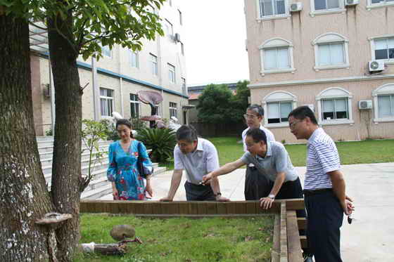 杭州亞運(yùn)會(huì)官方靈芝產(chǎn)品供應(yīng)商|杭州亞運(yùn)會(huì)官方供應(yīng)商|中國靈芝十大品牌|仙客來靈芝|仙客來靈芝破壁孢子粉|仙客來孢子油|仙客來靈芝飲片|仙客來破壁孢子粉|靈芝孢子油|孢子粉|靈芝破壁孢子粉|靈芝|中華老字號(hào)