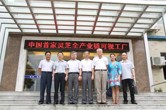 杭州亞運(yùn)會(huì)官方靈芝產(chǎn)品供應(yīng)商|杭州亞運(yùn)會(huì)官方供應(yīng)商|中國靈芝十大品牌|仙客來靈芝|仙客來靈芝破壁孢子粉|仙客來孢子油|仙客來靈芝飲片|仙客來破壁孢子粉|靈芝孢子油|孢子粉|靈芝破壁孢子粉|靈芝|中華老字號(hào)