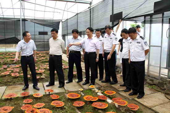 杭州亞運會官方靈芝產(chǎn)品供應(yīng)商|杭州亞運會官方供應(yīng)商|中國靈芝十大品牌|仙客來靈芝|仙客來靈芝破壁孢子粉|仙客來孢子油|仙客來靈芝飲片|仙客來破壁孢子粉|靈芝孢子油|孢子粉|靈芝破壁孢子粉|靈芝|中華老字號 杭州亞運會官方靈芝產(chǎn)品供應(yīng)商|杭州亞運會官方供應(yīng)商|中國靈芝十大品牌|仙客來靈芝|仙客來靈芝破壁孢子粉|仙客來孢子油|仙客來靈芝飲片|仙客來破壁孢子粉|靈芝孢子油|孢子粉|靈芝破壁孢子粉|靈芝|中華老字號