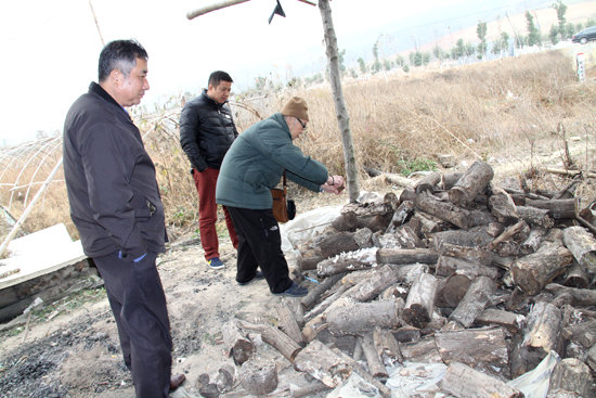 杭州亞運(yùn)會(huì)官方靈芝產(chǎn)品供應(yīng)商|杭州亞運(yùn)會(huì)官方供應(yīng)商|中國(guó)靈芝十大品牌|仙客來靈芝|仙客來靈芝破壁孢子粉|仙客來孢子油|仙客來靈芝飲片|仙客來破壁孢子粉|靈芝孢子油|孢子粉|靈芝破壁孢子粉|靈芝|中華老字號(hào) 杭州亞運(yùn)會(huì)官方靈芝產(chǎn)品供應(yīng)商|杭州亞運(yùn)會(huì)官方供應(yīng)商|中國(guó)靈芝十大品牌|仙客來靈芝|仙客來靈芝破壁孢子粉|仙客來孢子油|仙客來靈芝飲片|仙客來破壁孢子粉|靈芝孢子油|孢子粉|靈芝破壁孢子粉|靈芝|中華老字號(hào)