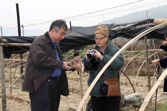 杭州亞運(yùn)會(huì)官方靈芝產(chǎn)品供應(yīng)商|杭州亞運(yùn)會(huì)官方供應(yīng)商|中國(guó)靈芝十大品牌|仙客來靈芝|仙客來靈芝破壁孢子粉|仙客來孢子油|仙客來靈芝飲片|仙客來破壁孢子粉|靈芝孢子油|孢子粉|靈芝破壁孢子粉|靈芝|中華老字號(hào) 杭州亞運(yùn)會(huì)官方靈芝產(chǎn)品供應(yīng)商|杭州亞運(yùn)會(huì)官方供應(yīng)商|中國(guó)靈芝十大品牌|仙客來靈芝|仙客來靈芝破壁孢子粉|仙客來孢子油|仙客來靈芝飲片|仙客來破壁孢子粉|靈芝孢子油|孢子粉|靈芝破壁孢子粉|靈芝|中華老字號(hào)