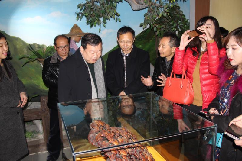 仙客來(lái)孢子粉|仙客來(lái)孢子油|仙客來(lái)靈芝|仙客來(lái)破壁孢子粉|江西老字號(hào) 仙客來(lái)孢子粉|仙客來(lái)孢子油|仙客來(lái)靈芝|仙客來(lái)破壁孢子粉|江西老字號(hào)