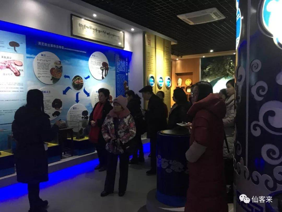 中國靈芝十大品牌|仙客來靈芝|仙客來靈芝破壁孢子粉|仙客來孢子油|仙客來靈芝飲片|仙客來破壁孢子粉|仙客來靈芝中藥飲片|馳名商標(biāo)|m.c243t.cn| 中國靈芝十大品牌|仙客來靈芝|仙客來靈芝破壁孢子粉|仙客來孢子油|仙客來靈芝飲片|仙客來破壁孢子粉|仙客來靈芝中藥飲片|馳名商標(biāo)|m.c243t.cn|