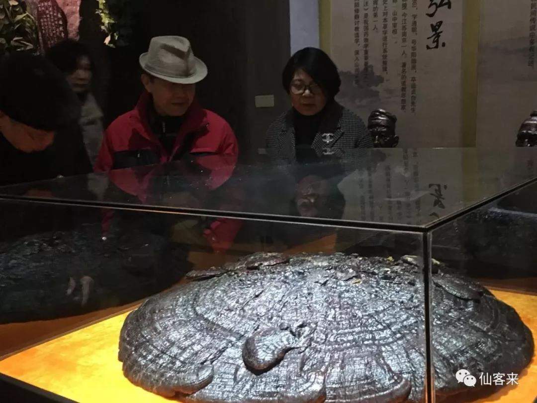 中國靈芝十大品牌|仙客來靈芝|仙客來靈芝破壁孢子粉|仙客來孢子油|仙客來靈芝飲片|仙客來破壁孢子粉|仙客來靈芝中藥飲片|馳名商標(biāo)|m.c243t.cn| 中國靈芝十大品牌|仙客來靈芝|仙客來靈芝破壁孢子粉|仙客來孢子油|仙客來靈芝飲片|仙客來破壁孢子粉|仙客來靈芝中藥飲片|馳名商標(biāo)|m.c243t.cn|