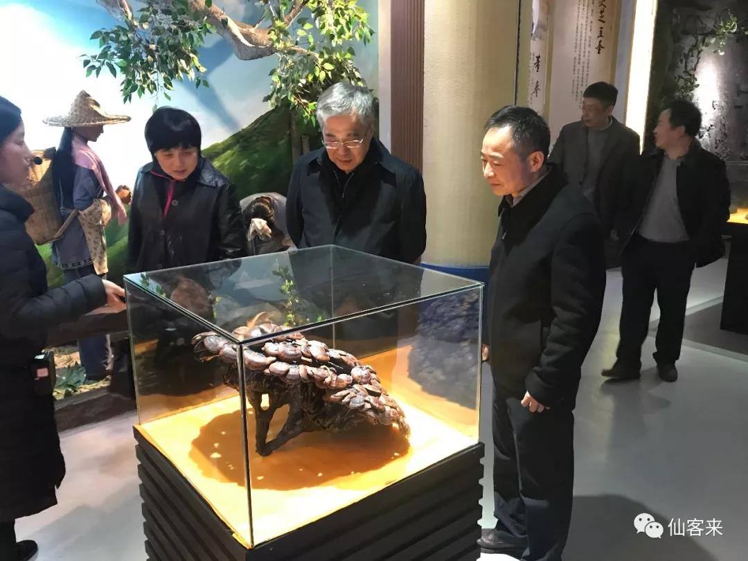 中國靈芝十大品牌|仙客來靈芝|仙客來靈芝破壁孢子粉|仙客來孢子油|仙客來靈芝飲片|仙客來破壁孢子粉|仙客來靈芝中藥飲片|馳名商標|m.c243t.cn|