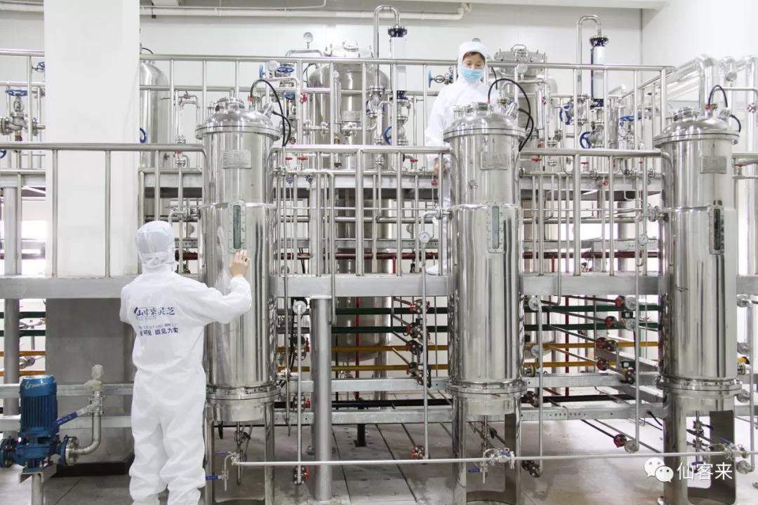 中國(guó)靈芝十大品牌|仙客來(lái)靈芝|仙客來(lái)靈芝破壁孢子粉|仙客來(lái)孢子油|仙客來(lái)靈芝飲片|仙客來(lái)破壁孢子粉|仙客來(lái)靈芝中藥飲片|馳名商標(biāo)|m.c243t.cn| 中國(guó)靈芝十大品牌|仙客來(lái)靈芝|仙客來(lái)靈芝破壁孢子粉|仙客來(lái)孢子油|仙客來(lái)靈芝飲片|仙客來(lái)破壁孢子粉|仙客來(lái)靈芝中藥飲片|馳名商標(biāo)|m.c243t.cn|