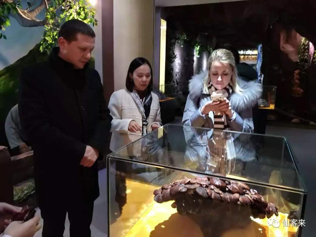 中國(guó)靈芝十大品牌|仙客來(lái)靈芝|仙客來(lái)靈芝破壁孢子粉|仙客來(lái)孢子油|仙客來(lái)靈芝飲片|仙客來(lái)破壁孢子粉|仙客來(lái)靈芝中藥飲片|馳名商標(biāo)|m.c243t.cn|