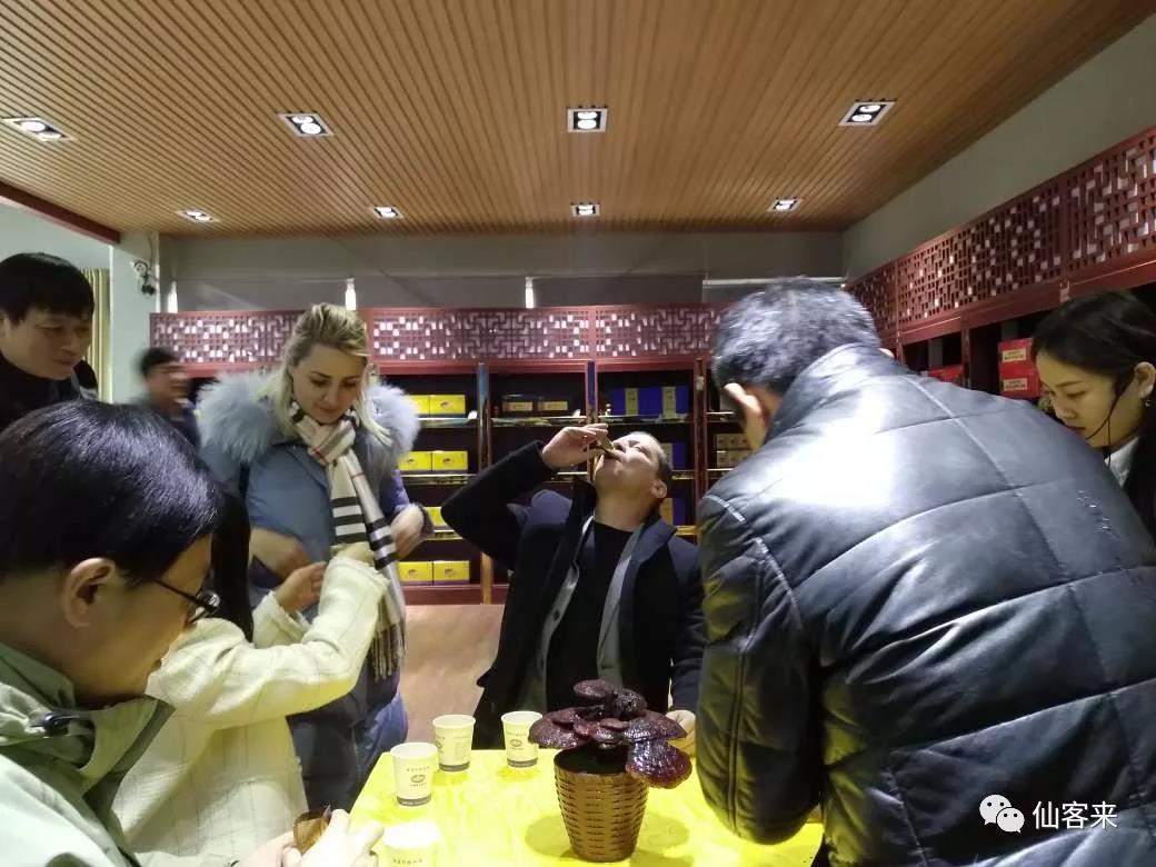 杭州亞運(yùn)會(huì)官方靈芝產(chǎn)品供應(yīng)商|杭州亞運(yùn)會(huì)官方供應(yīng)商|中國(guó)靈芝十大品牌|仙客來(lái)靈芝|仙客來(lái)靈芝破壁孢子粉|仙客來(lái)孢子油|仙客來(lái)靈芝飲片|仙客來(lái)破壁孢子粉|靈芝孢子油|孢子粉|靈芝破壁孢子粉|靈芝|中華老字號(hào)