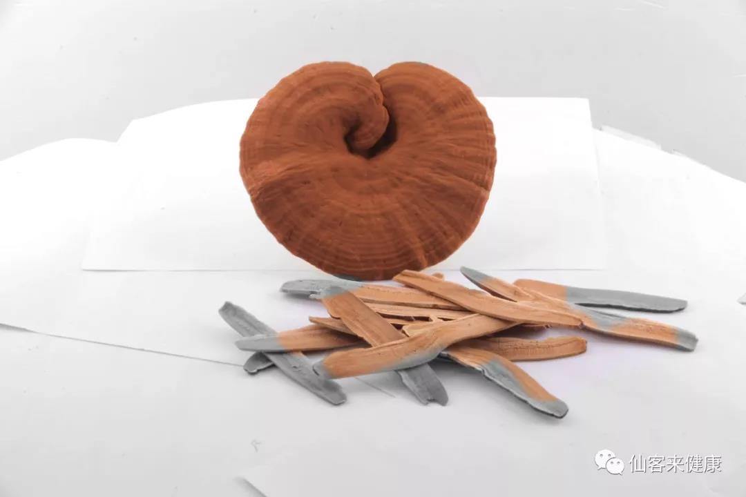 中國靈芝十大品牌|仙客來靈芝|仙客來靈芝破壁孢子粉|仙客來孢子油|仙客來靈芝飲片|仙客來破壁孢子粉|仙客來靈芝中藥飲片|馳名商標(biāo)|m.c243t.cn|