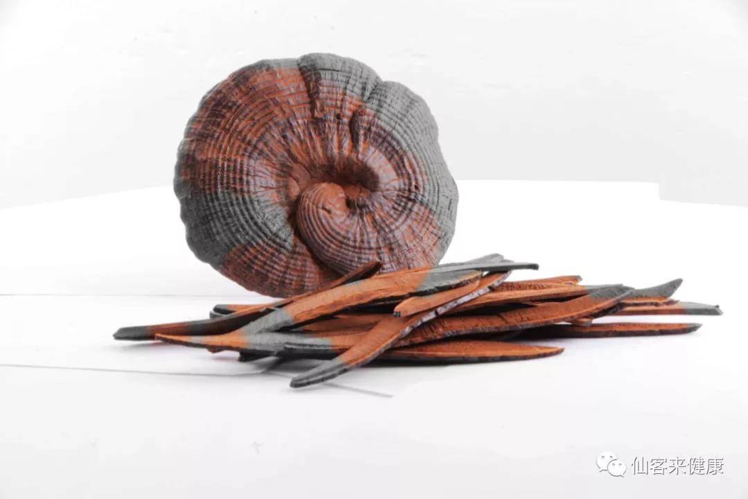 中國靈芝十大品牌|仙客來靈芝|仙客來靈芝破壁孢子粉|仙客來孢子油|仙客來靈芝飲片|仙客來破壁孢子粉|仙客來靈芝中藥飲片|馳名商標(biāo)|m.c243t.cn|