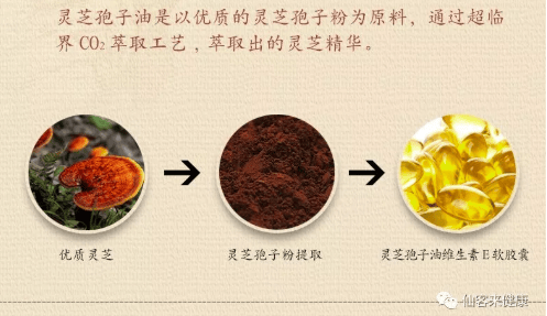 中國(guó)靈芝十大品牌|仙客來靈芝|仙客來靈芝破壁孢子粉|仙客來孢子油|仙客來靈芝飲片|仙客來破壁孢子粉|仙客來靈芝中藥飲片|馳名商標(biāo)|m.c243t.cn|