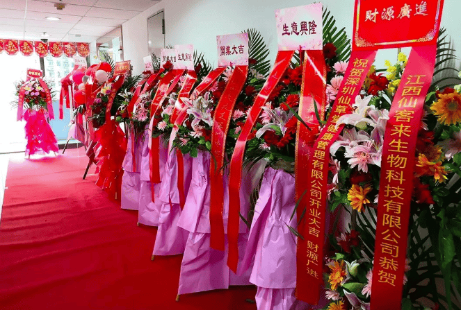 中國(guó)靈芝十大品牌|仙客來靈芝|仙客來靈芝破壁孢子粉|仙客來孢子油|仙客來靈芝飲片|仙客來破壁孢子粉|仙客來靈芝中藥飲片|馳名商標(biāo)|m.c243t.cn|