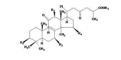 中國靈芝十大品牌|仙客來靈芝|仙客來靈芝破壁孢子粉|仙客來孢子油|仙客來靈芝飲片|仙客來破壁孢子粉|仙客來靈芝中藥飲片|馳名商標|m.c243t.cn| 中國靈芝十大品牌|仙客來靈芝|仙客來靈芝破壁孢子粉|仙客來孢子油|仙客來靈芝飲片|仙客來破壁孢子粉|仙客來靈芝中藥飲片|馳名商標|m.c243t.cn|