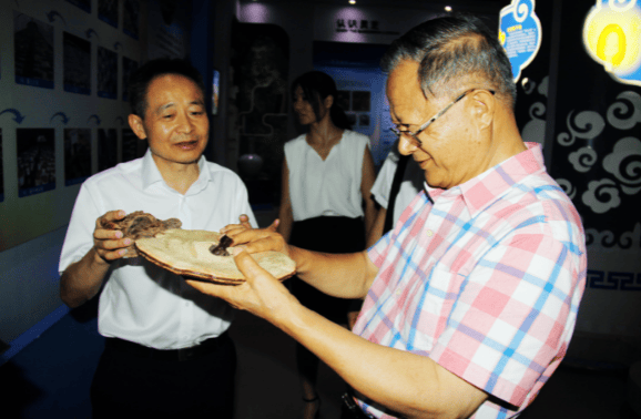 中國靈芝十大品牌|仙客來靈芝|仙客來靈芝破壁孢子粉|仙客來孢子油|仙客來靈芝飲片|仙客來破壁孢子粉|仙客來靈芝中藥飲片|馳名商標|m.c243t.cn|