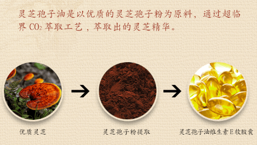 中國靈芝十大品牌|仙客來靈芝|仙客來靈芝破壁孢子粉|仙客來孢子油|仙客來靈芝飲片|仙客來破壁孢子粉|仙客來靈芝中藥飲片|馳名商標|m.c243t.cn|