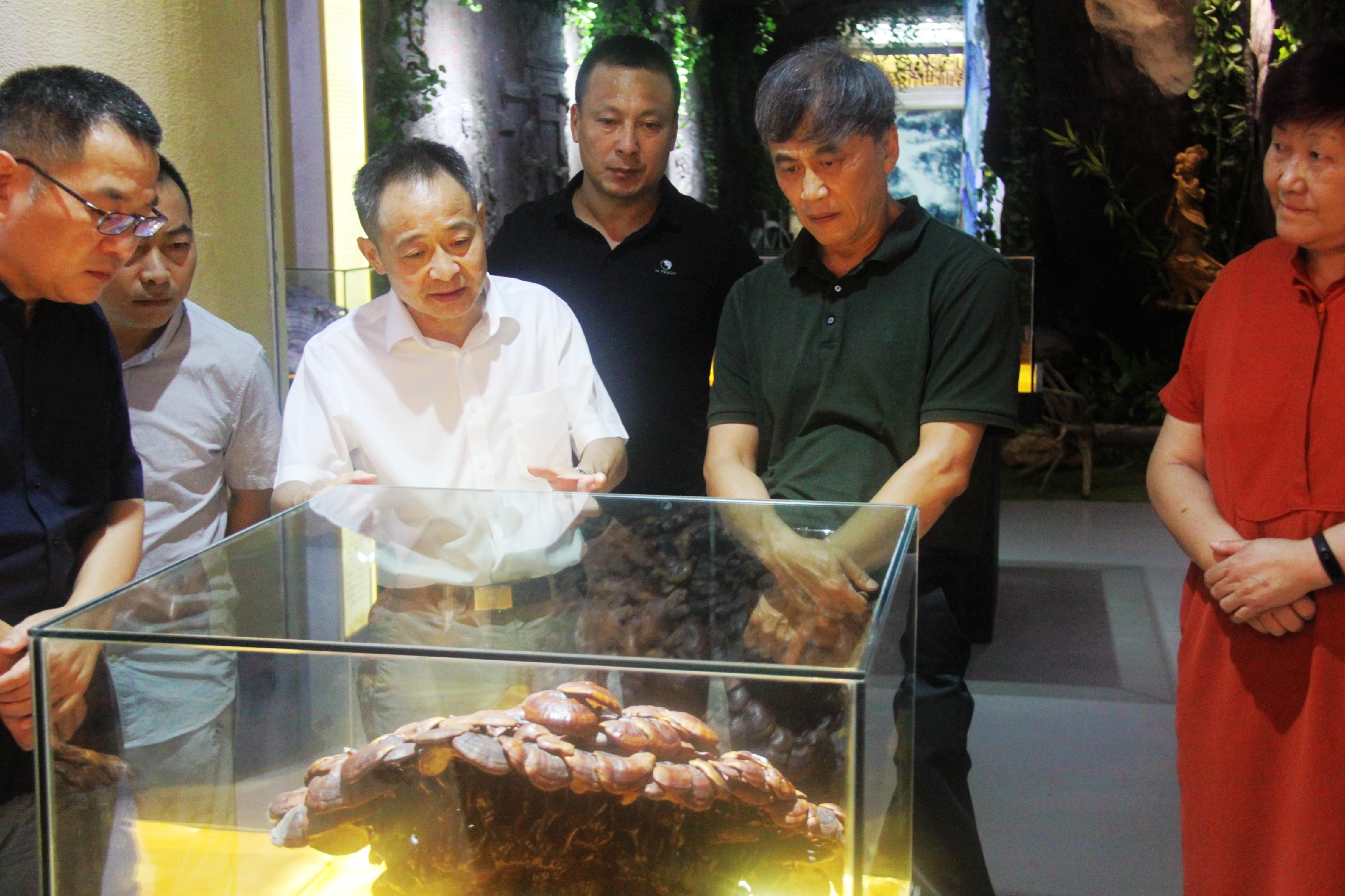 中國靈芝十大品牌|仙客來靈芝|仙客來靈芝破壁孢子粉|仙客來孢子油|仙客來靈芝飲片|仙客來破壁孢子粉|仙客來靈芝中藥飲片|馳名商標|m.c243t.cn|