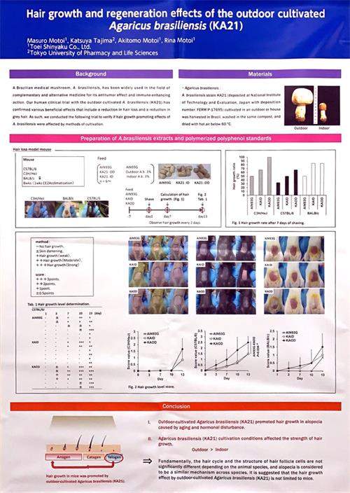 中國靈芝十大品牌|仙客來靈芝|仙客來靈芝破壁孢子粉|仙客來孢子油|仙客來靈芝飲片|仙客來破壁孢子粉|仙客來靈芝中藥飲片|馳名商標|m.c243t.cn|