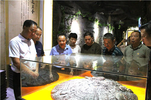 中國靈芝十大品牌|仙客來靈芝|仙客來靈芝破壁孢子粉|仙客來孢子油|仙客來靈芝飲片|仙客來破壁孢子粉|仙客來靈芝中藥飲片|馳名商標(biāo)|m.c243t.cn| 中國靈芝十大品牌|仙客來靈芝|仙客來靈芝破壁孢子粉|仙客來孢子油|仙客來靈芝飲片|仙客來破壁孢子粉|仙客來靈芝中藥飲片|馳名商標(biāo)|m.c243t.cn|